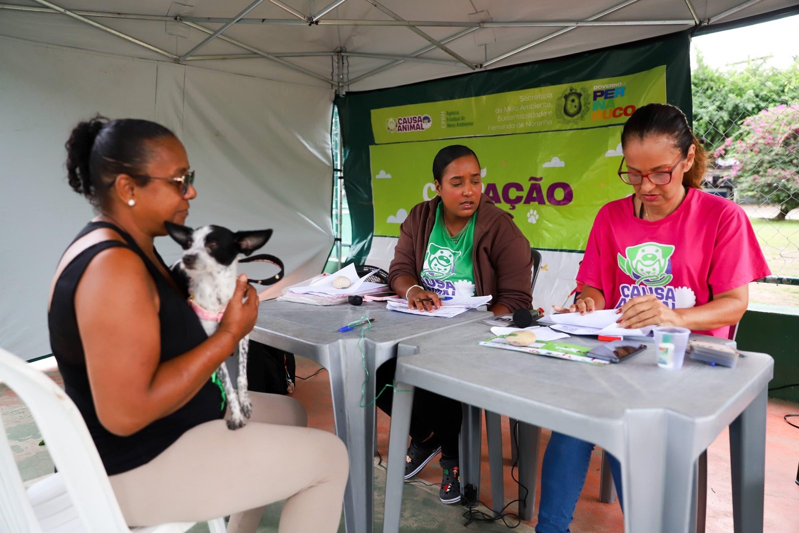 Programa de castração gratuita de cães e gatos chega a Garanhuns a partir desta quinta (4)