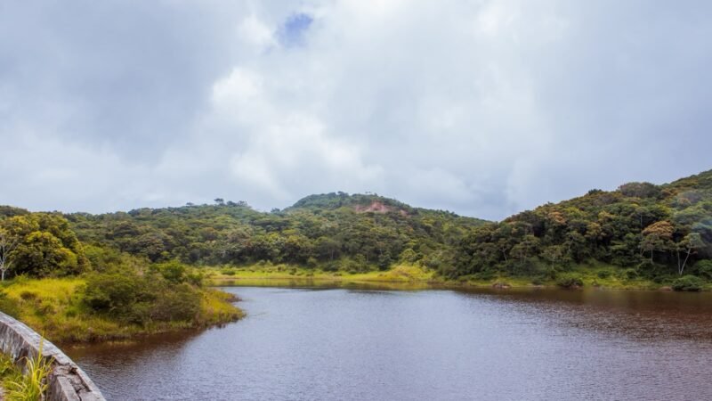 Parque Natural Municipal Professor João Vasconcelos Sobrinho celebra 43 anos como patrimônio ambiental de Caruaru