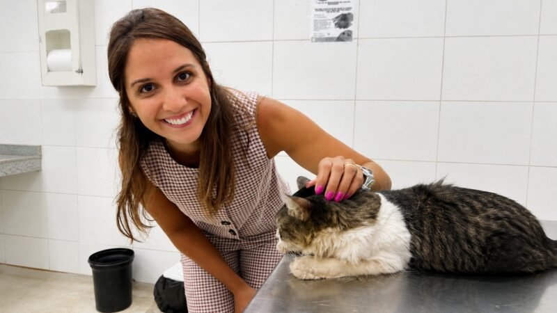 Câmara do Recife aprova proposta da vereadora Andreza Romero para criação do “Cartão Ração”