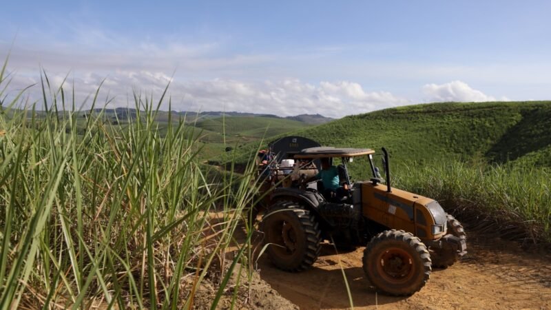 Governo de Pernambuco garante 18 mil toneladas de fertilizantes para fortalecer agricultura familiar canavieira da Zona da Mata
