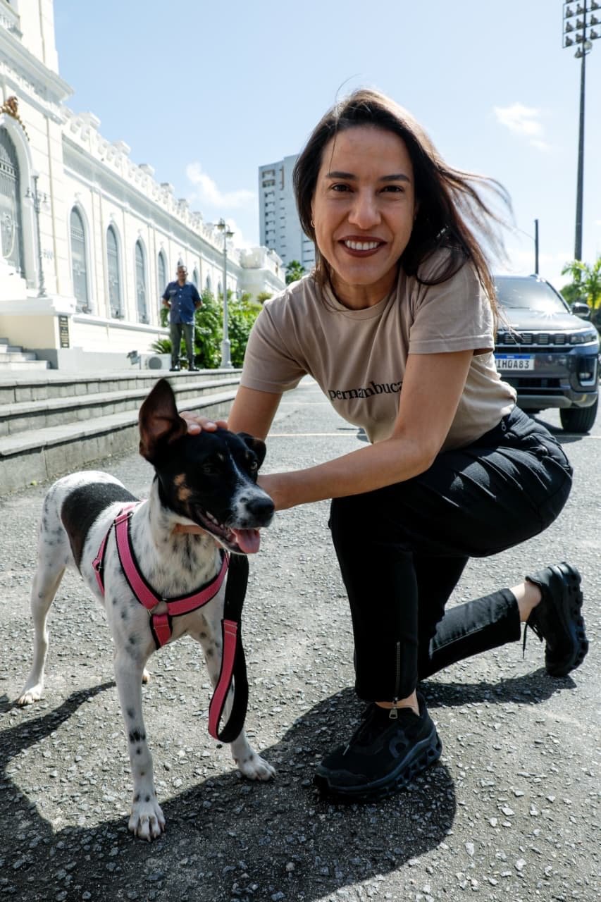 Governadora Raquel Lyra anuncia nova meta de 40 mil castrações gratuitas de cães e gatos através do Castramóvel