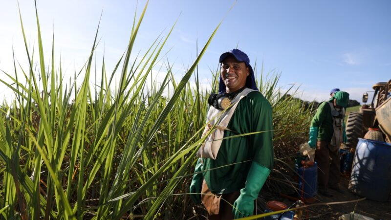 Com investimento de R$ 14,3 milhões, Governo do Estado realiza pagamento do benefício do Programa Chapéu de Palha para trabalhadores da cana-de-açúcar