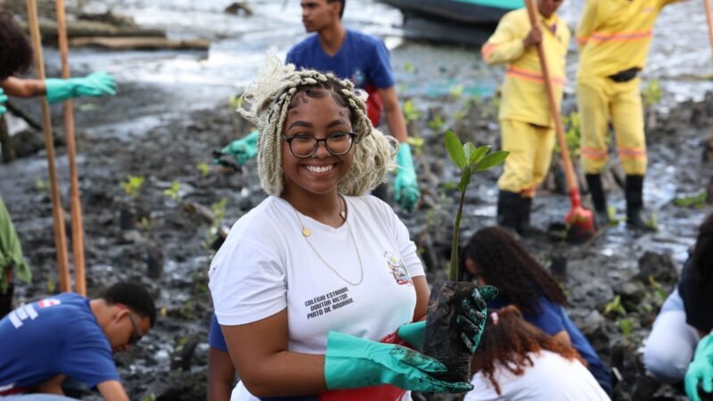 Estudantes da rede estadual plantam 3 mil mudas de mangue em trecho do VLT no Subúrbio Ferroviário