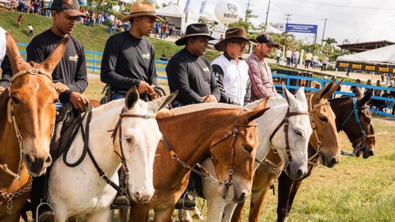 310ª Feira de Agosto reúne tradição, cultura e shows em Vitória de Santo Antão