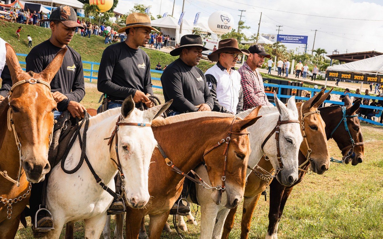 310ª Feira de Agosto reúne tradição, cultura e shows em Vitória de Santo Antão