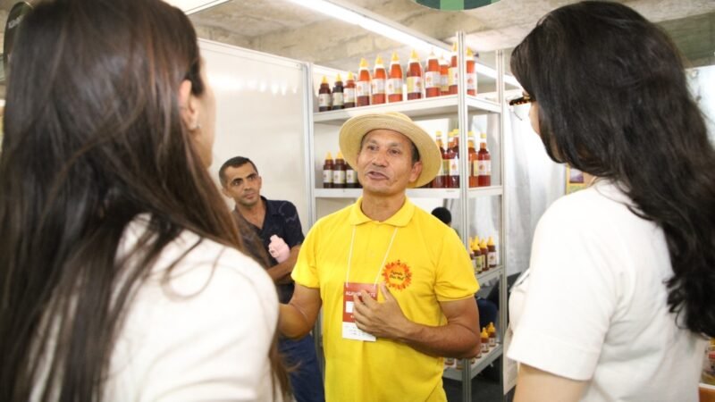 Pernambuco se torna o melhor estado do Nordeste e o terceiro do Brasil para empreender