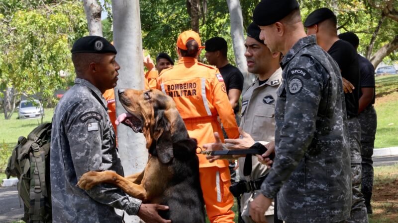 Policiais militares são capacitados para conduzir cães em buscas por pessoas desaparecidas