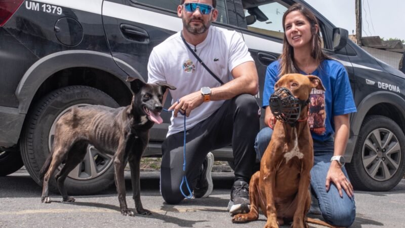 Acusado de maus-tratos tenta fugir no Ipsep, mas é capturado por Andreza e Romero Albuquerque com apoio da polícia; dois cães foram resgatados