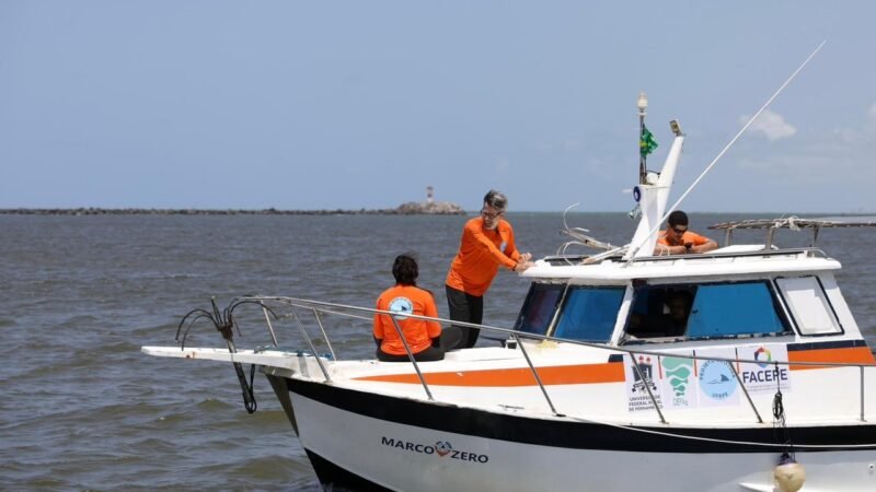 Após 11 anos, Governo de Pernambuco retoma monitoramento de tubarões no litoral da Região Metropolitana