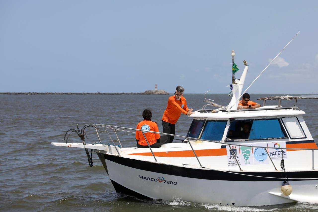 Após 11 anos, Governo de Pernambuco retoma monitoramento de tubarões no litoral da Região Metropolitana