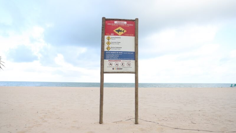 CEMIT reforça cuidados para um banho de mar seguro durante o feriado de Finados