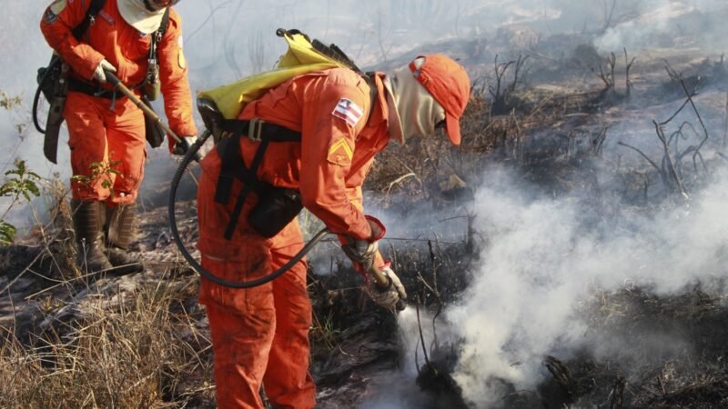 Bombeiros completam 100 dias de operação contra incêndios florestais com redução de 29% nos focos de calor