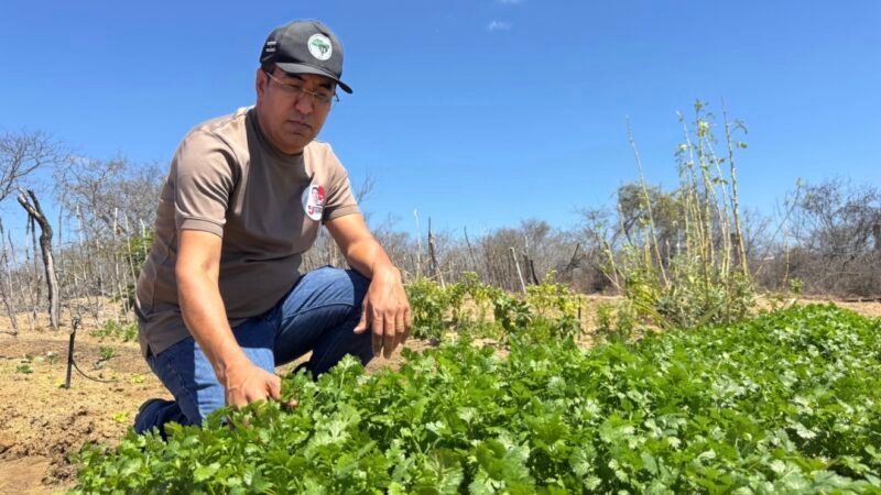 Dia do Agricultor: Juvenilson Passos reforça compromisso com o agronegócio e a agricultura familiar na Bahia