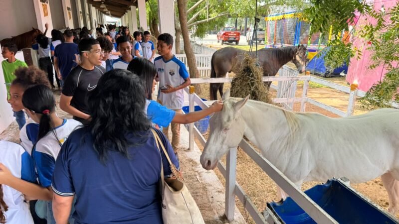 Alunos da Rede Municipal vivenciam a cultura nordestina na 15ª Vaquejada de Vitória